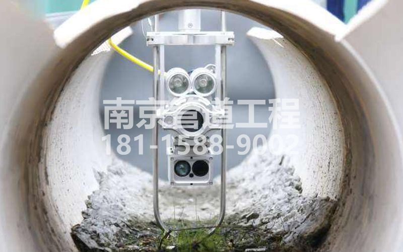 221樱驼花园QV检测